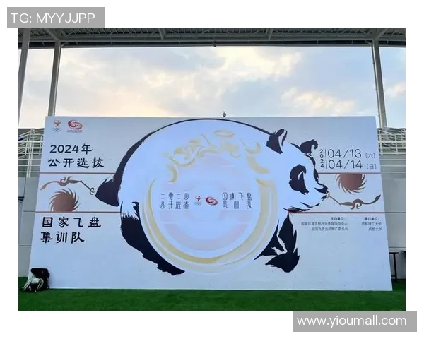 武汉飞盘队的战术解析与转换体系探讨